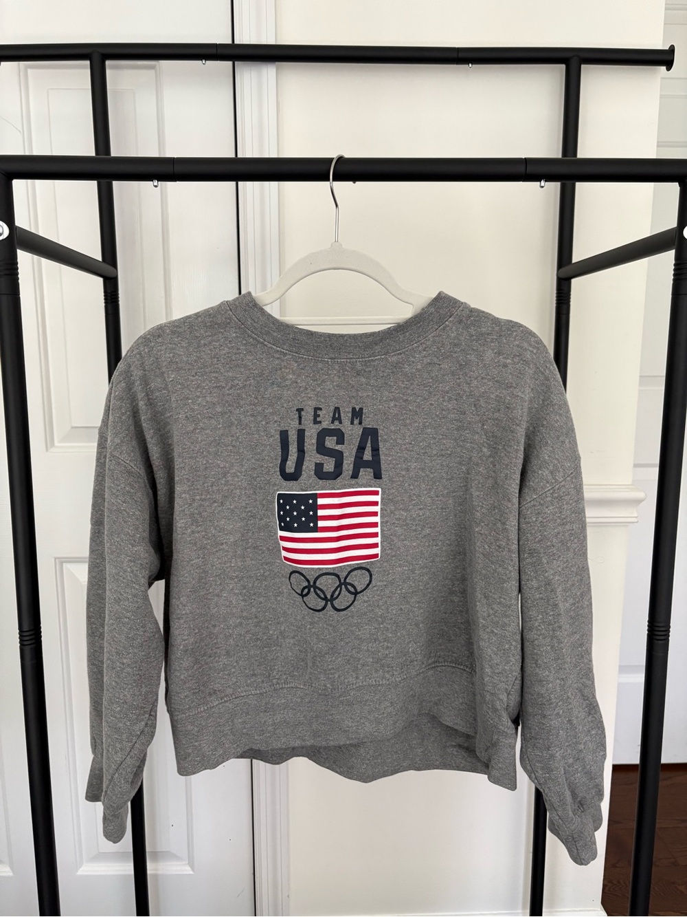 Team USA Gray Crewneck Sweatshirt with Flag and Olympic Rings